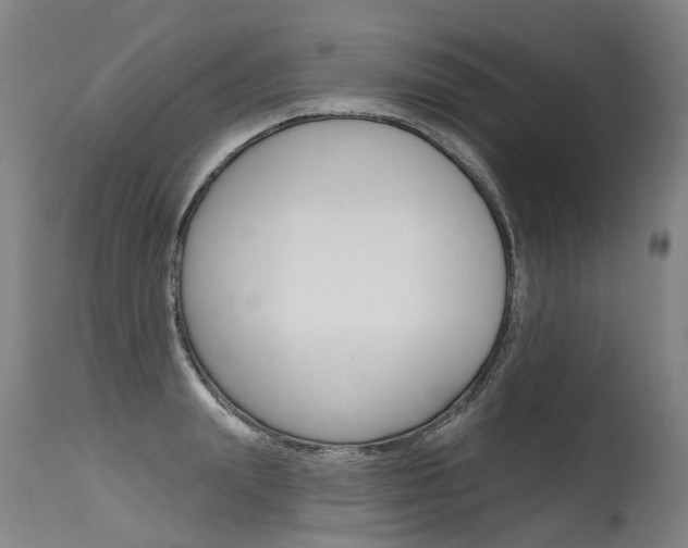 X0000115630847200911101117