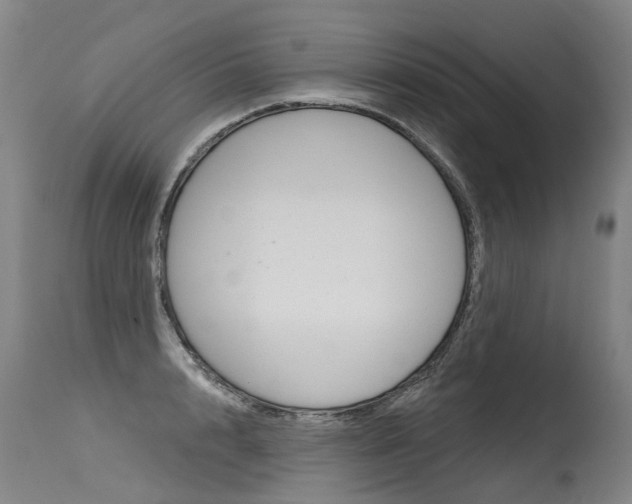 X0000115630848200911101117