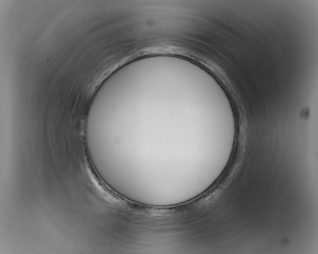 X0000115630849200911101117