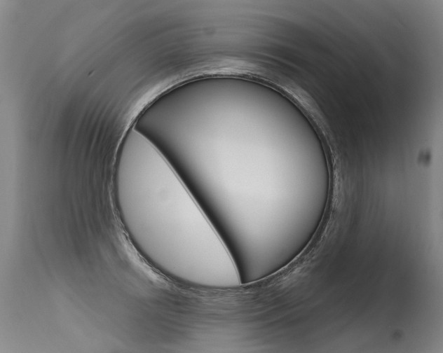 X0000115630850200911101117