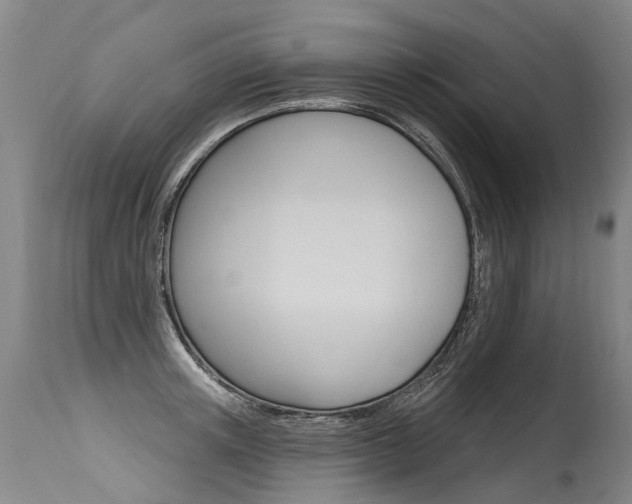 X0000115630851200911101117