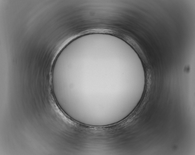 X0000115630852200911101117