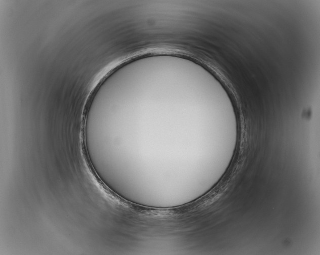 X0000115630853200911101117
