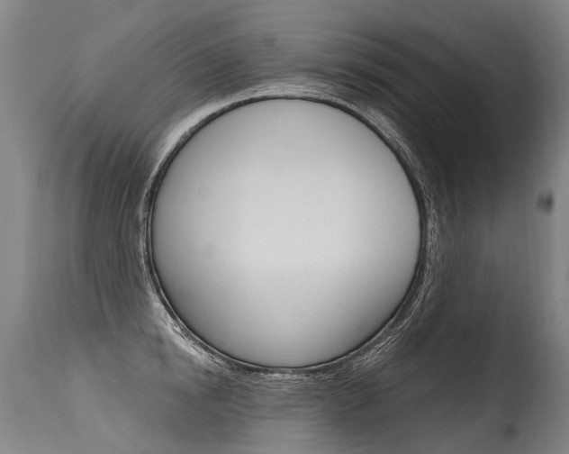 X0000115630854200911101117