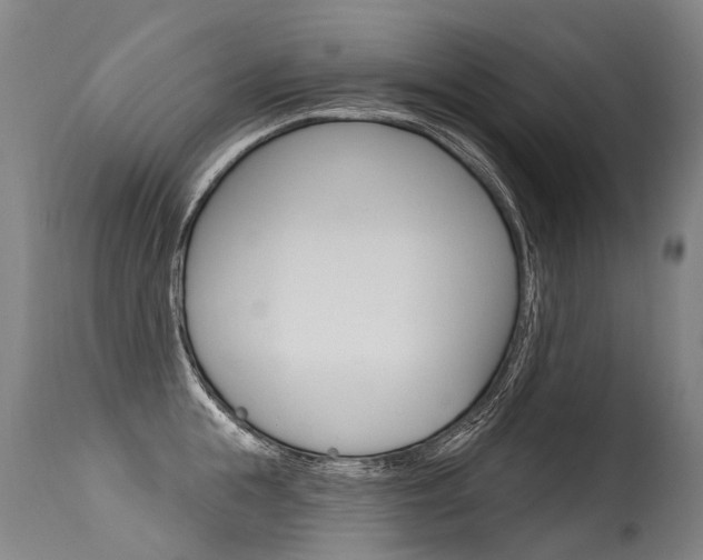 X0000115630855200911101117