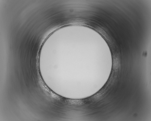 X0000115630856200911101117