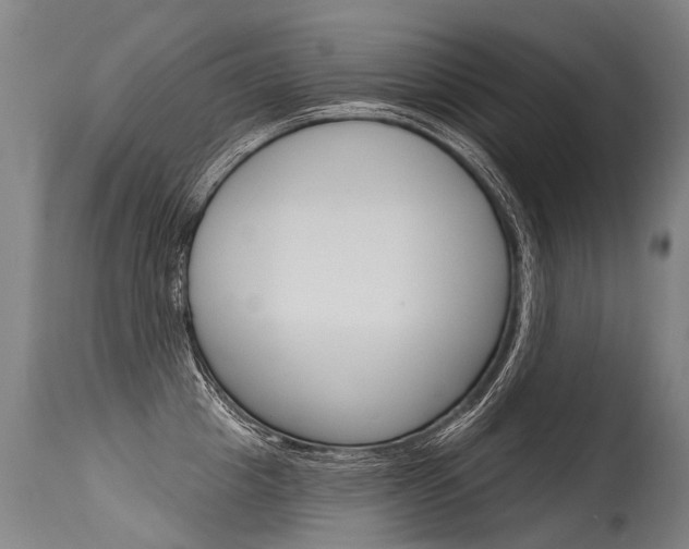 X0000115630857200911101117