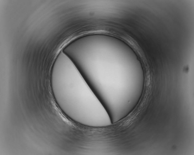X0000115630858200911101117