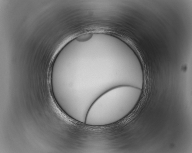 X0000115630859200911101117