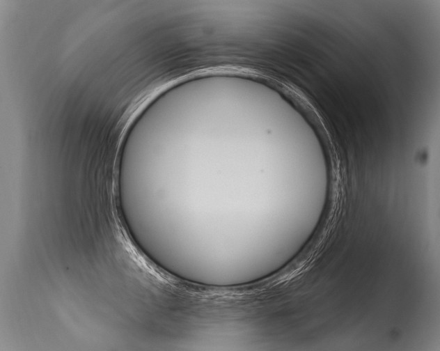 X0000115630860200911101117