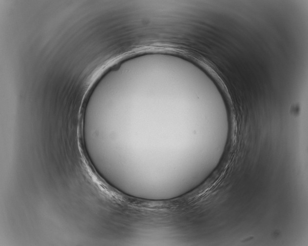 X0000115630861200911101117