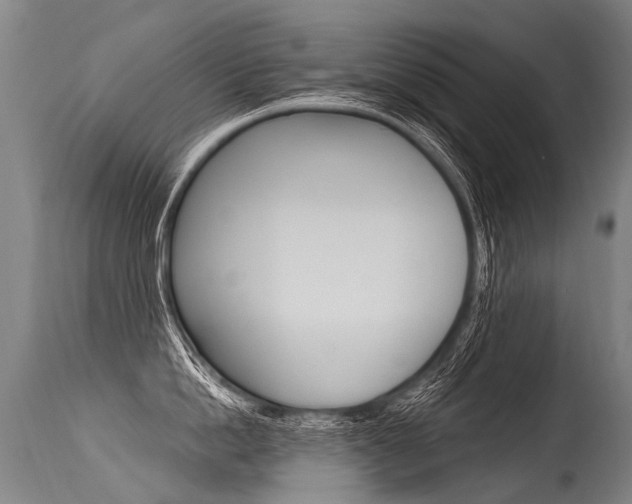 X0000115630862200911101117