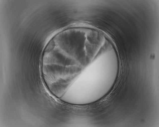 X0000115630863200911101117