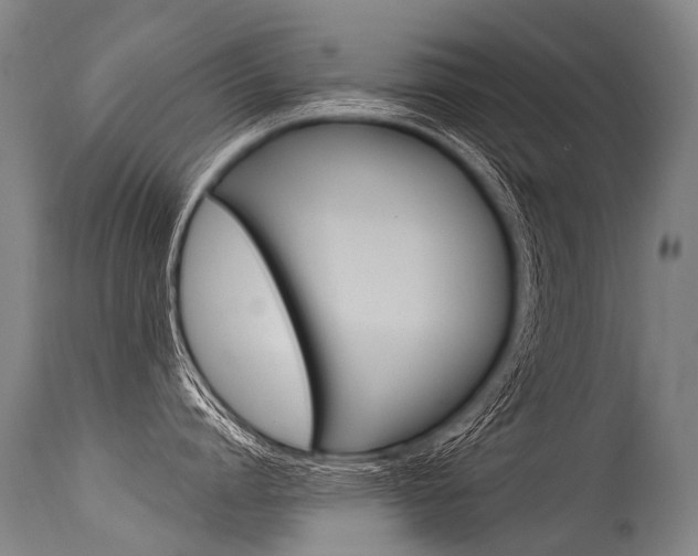 X0000115630864200911101117