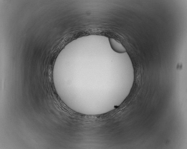 X0000115630866200911101116