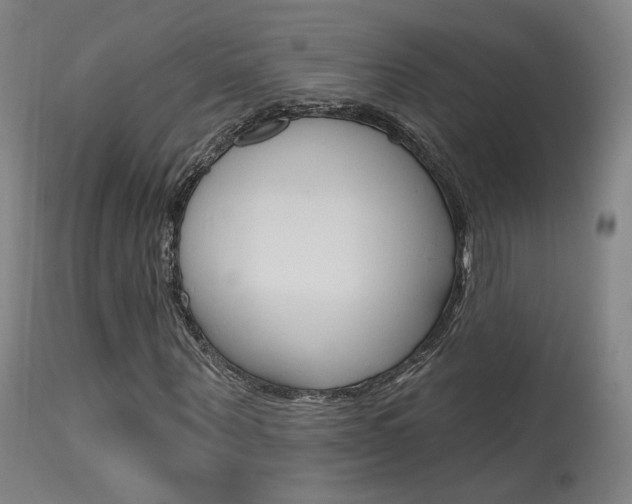 X0000115630867200911101116