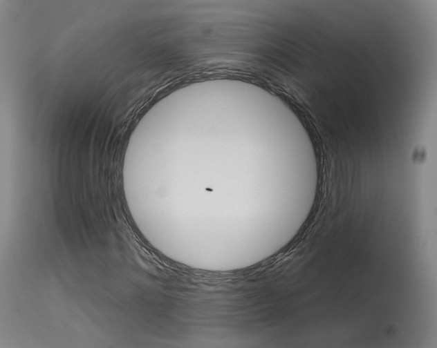 X0000115630868200911101116