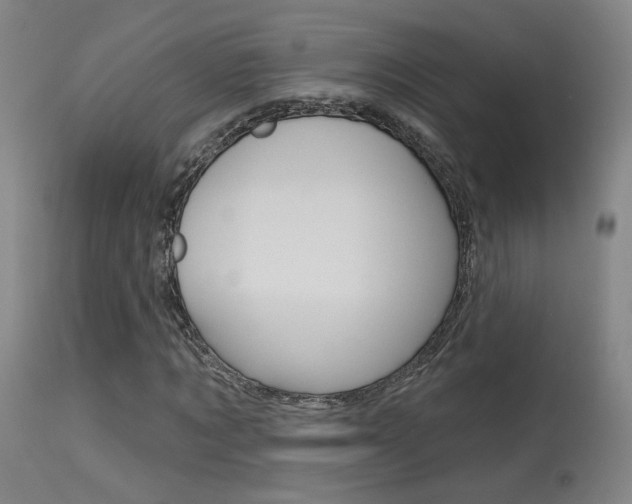 X0000115630869200911101116