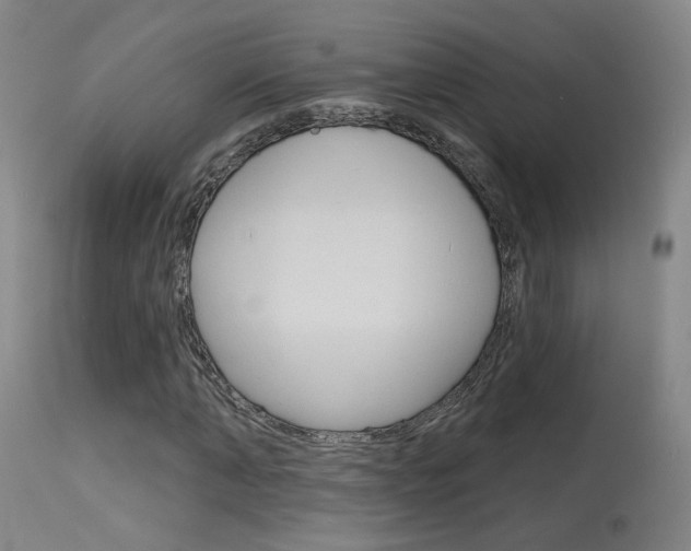 X0000115630870200911101116