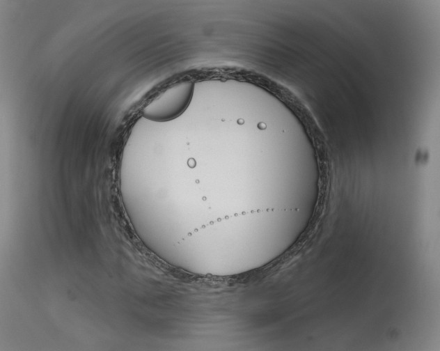 X0000115630871200911101116