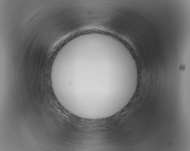 X0000115630872200911101116