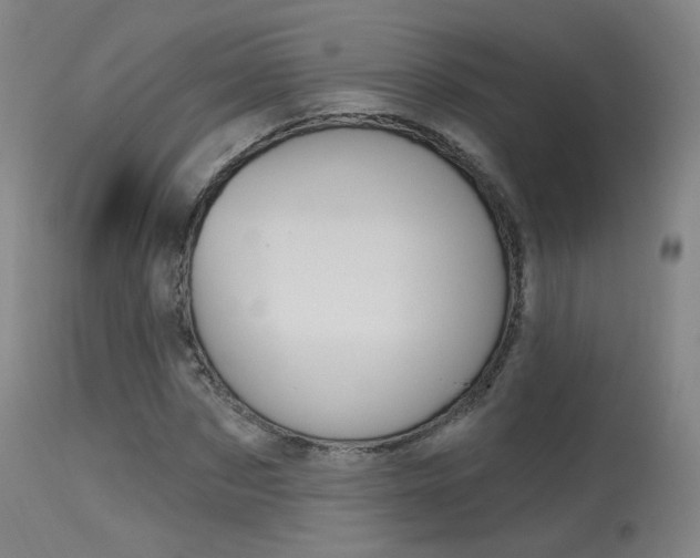 X0000115630873200911101116