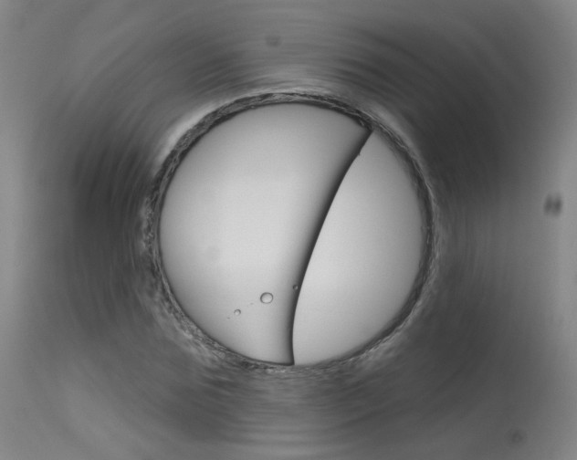 X0000115630875200911101116