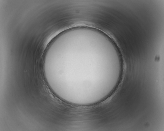 X0000115630877200911101116