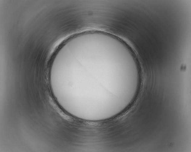 X0000115630878200911101116