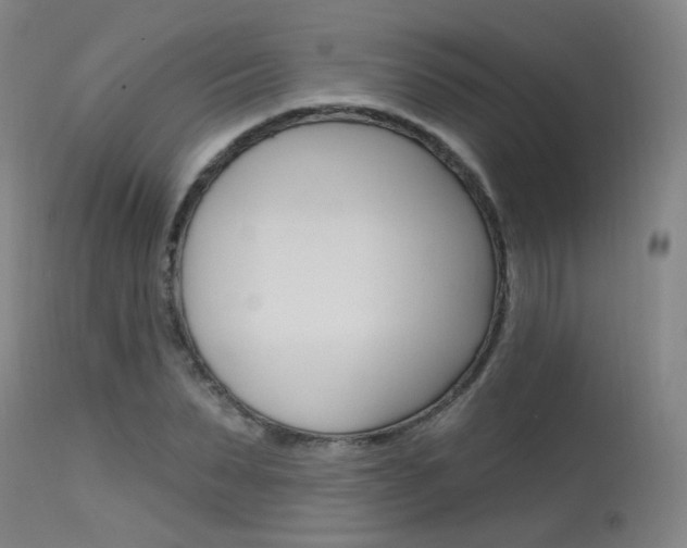 X0000115630879200911101116