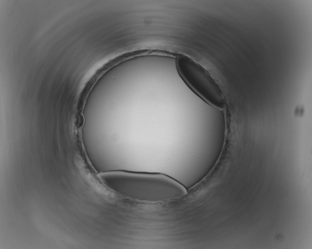 X0000115630880200911101116