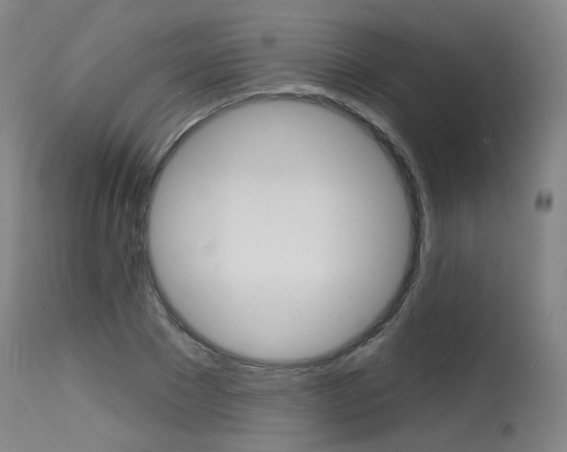 X0000115630881200911101116