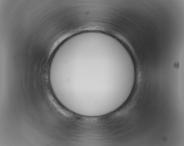 X0000115630882200911101116