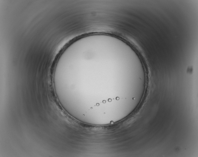 X0000115630883200911101116
