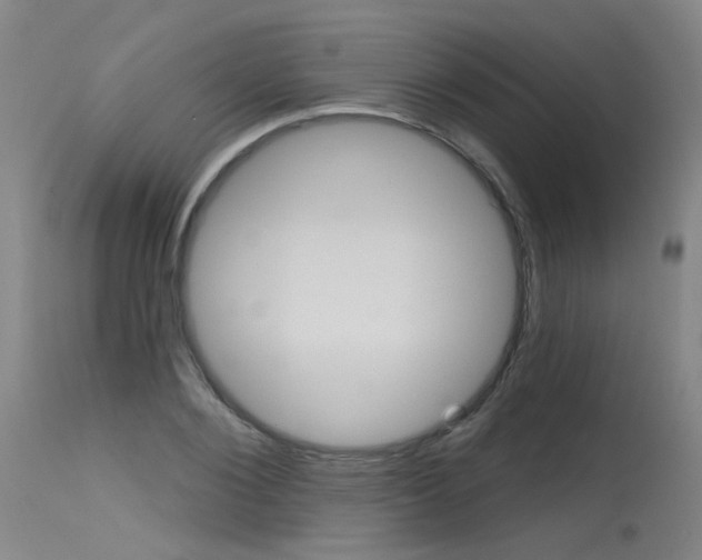 X0000115630884200911101116