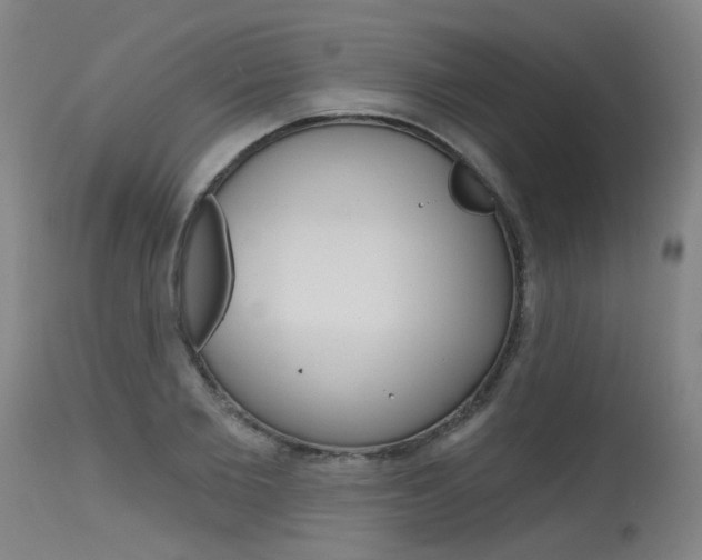 X0000115630885200911101116
