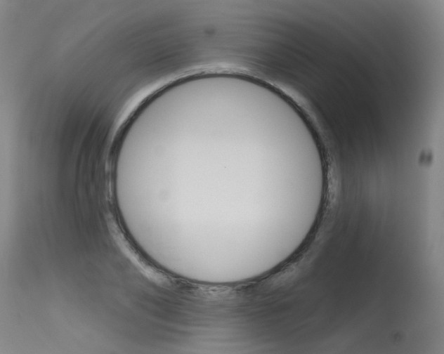 X0000115630886200911101116