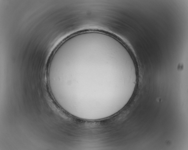 X0000115630887200911101116