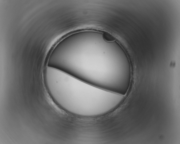 X0000115630888200911101116