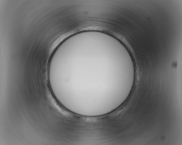 X0000115630890200911101116