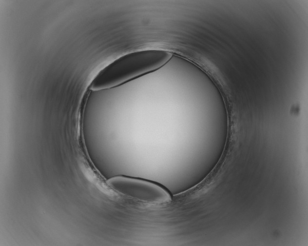X0000115630892200911101116