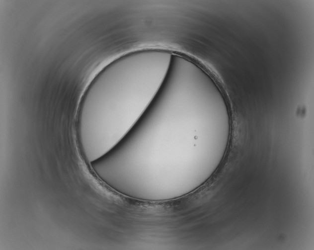 X0000115630895200911101116