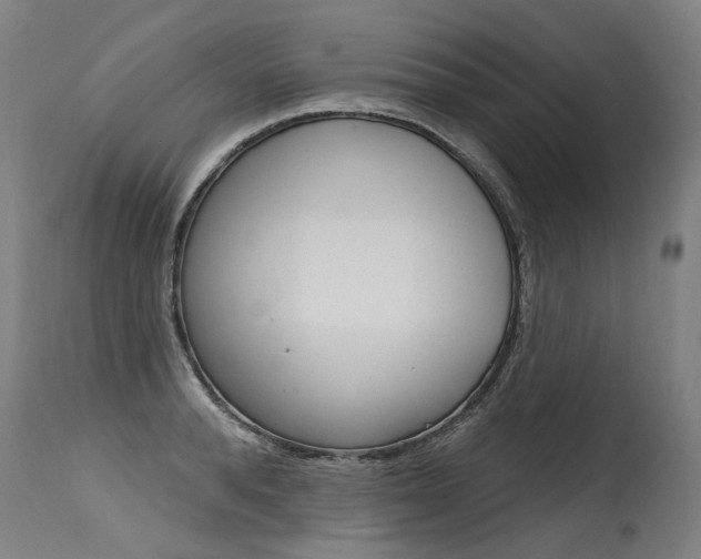 X0000115630896200911101116
