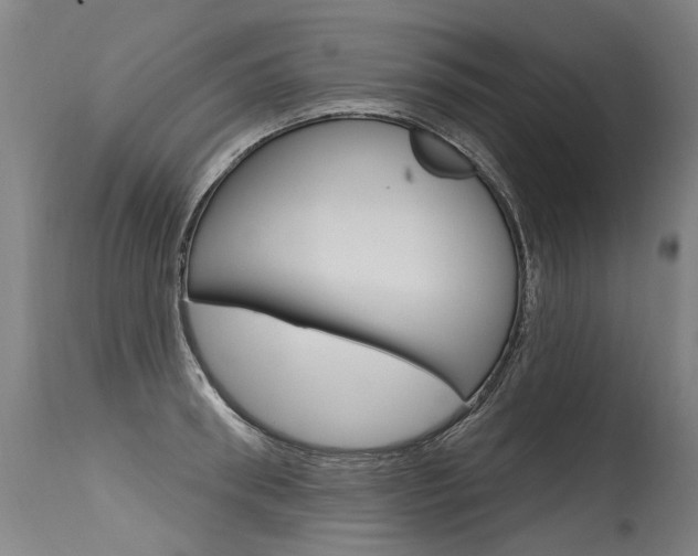 X0000115630898200911101116