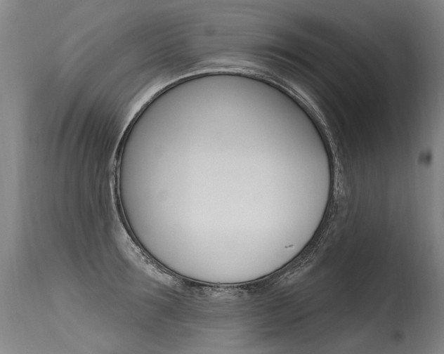 X0000115630899200911101116