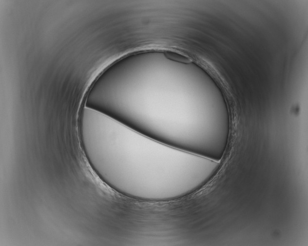 X0000115630900200911101116