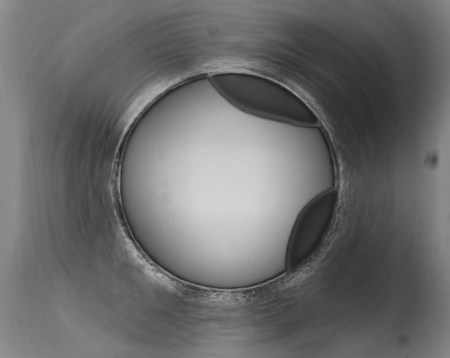X0000115630901200911101116