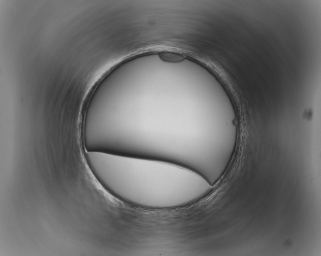 X0000115630902200911101116