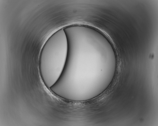 X0000115630903200911101116