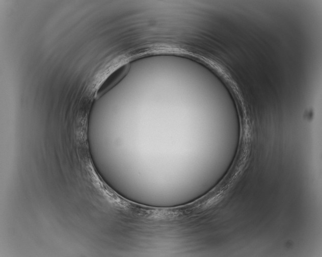 X0000115630905200911101116
